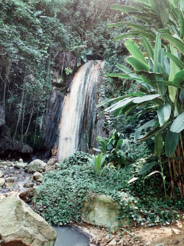 Botanical Gardens | Diamond Waterfall