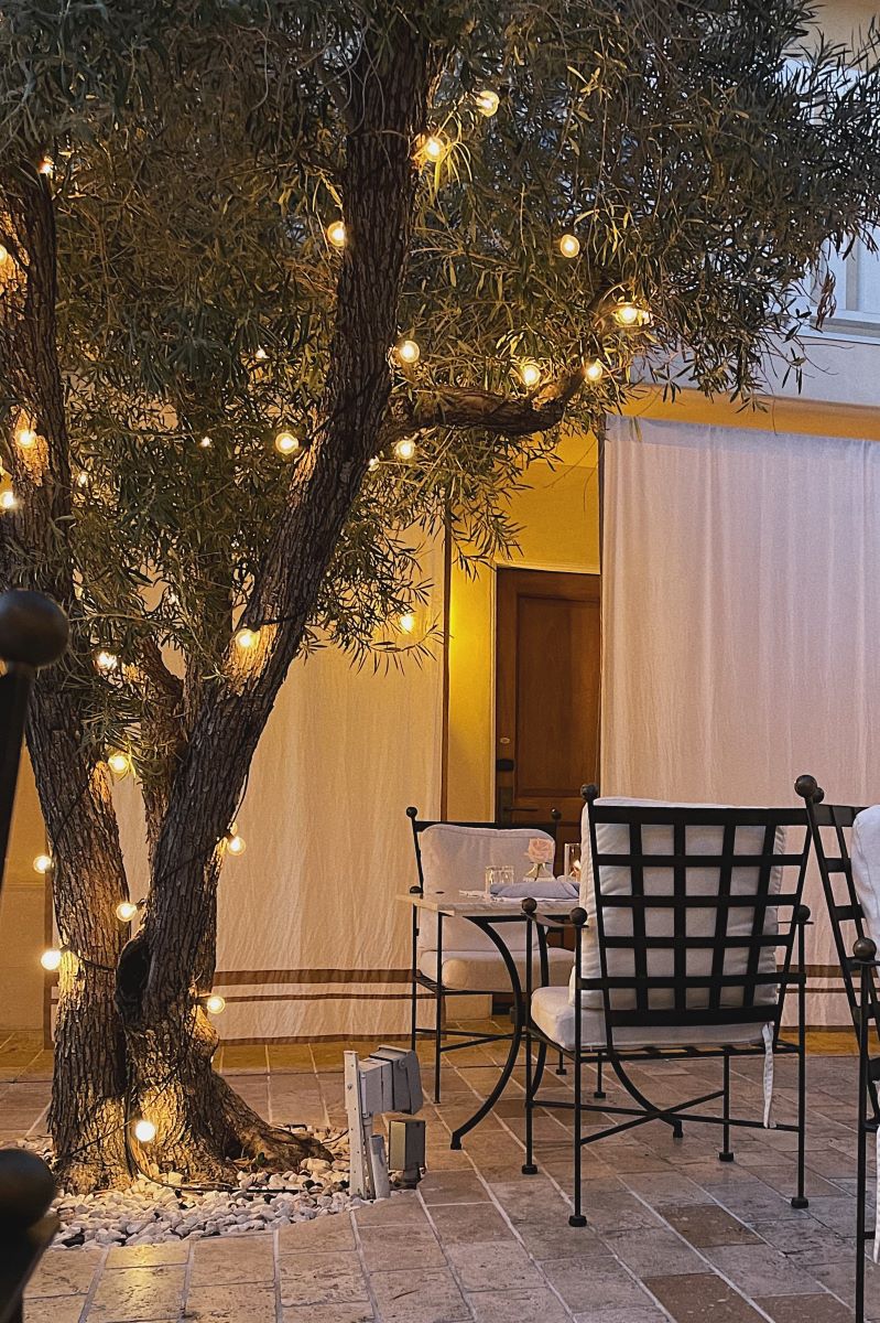 Olive Trees at Cara Restaurant