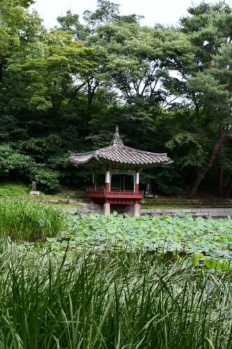 Beautiful Pond at The Secret Garden of Changdeokgung Palace