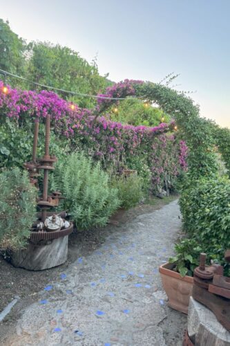 Garden at Il Giardino Mediterraneo