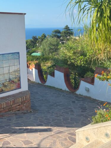 Ischia Villa Property